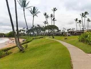 Wailea Village – right by Grand Champions - photo 4
