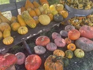 Wailea Village Farmers Market – Tuesdays - photo 1