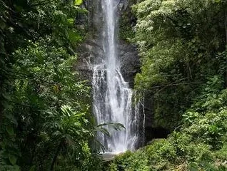 Wailua Falls - photo 4