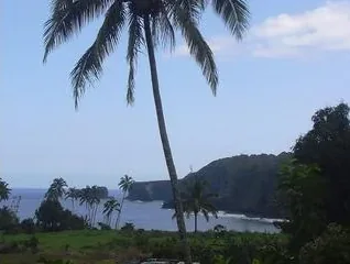Keʻanae Peninsula + Aunty Sandy’s Banana Bread - photo 4