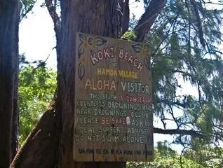 Koki Beach + Huli Huli Chicken - photo 1