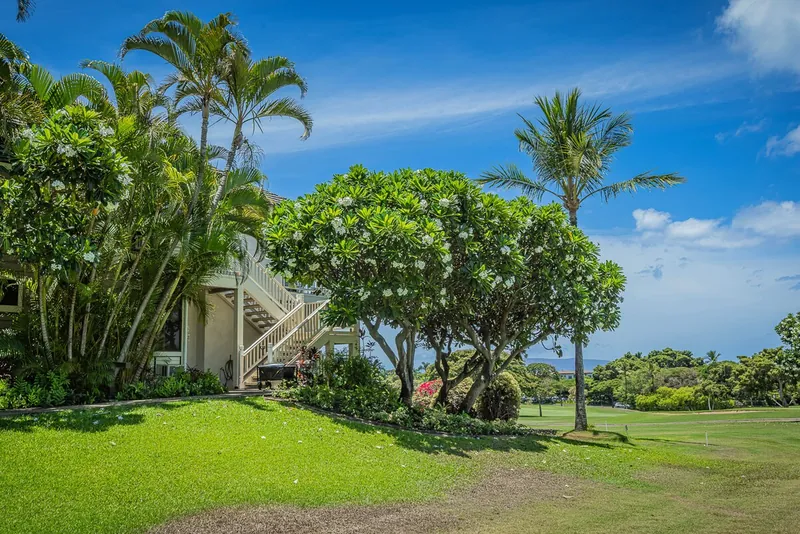 Wailea 3BR Villa, Wailea-Makena Maui vacation rental — photo 36