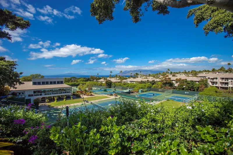 Wailea 3BR Villa, Wailea-Makena Maui vacation rental — photo 47
